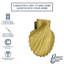 Sheila Shell Door Knocker-1529031702