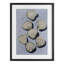 «Embellished Shells Collection», reproduction encadrée sous verre, conception de Michael Willett-42892169-42892166