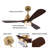 Huybert 48'' Ceiling Fan with LED Lights