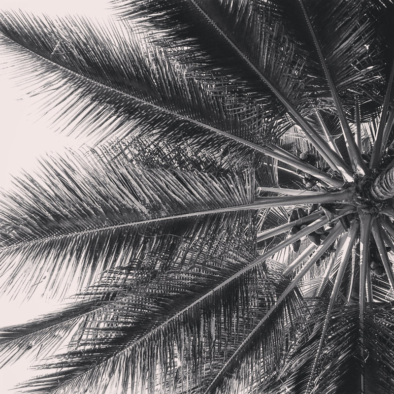 Avlona Things Are Looking Up - Wrapped Canvas Print, 30cm H x 30cm W x 3.8cm D