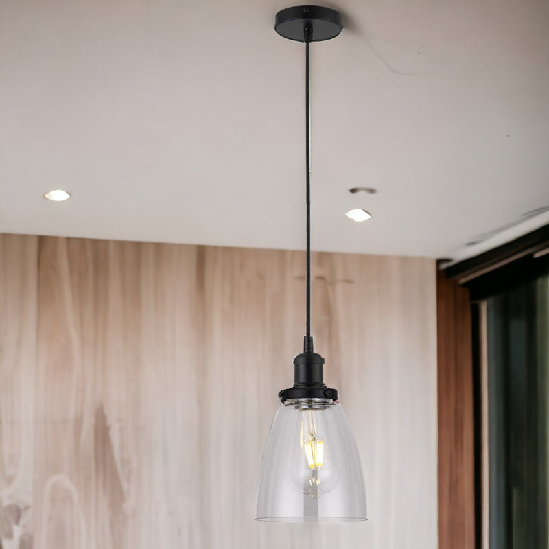 Margarita 1 - Light Single Pendant, Clear, Black Nickel