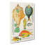 East Indies Fish Illustrations VI by Louis Renard - Wrapped Canvas-55372891