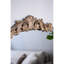 Miroir Elegant