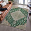 Premium Machine Washable Gurubaksh AMF1151 Global Rug-1672523757