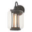 Fairwinds Outdoor Sconce - Clear Glass-72151563-72151564