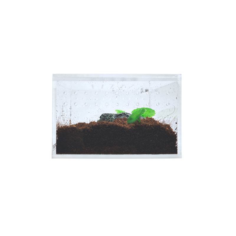 Acrylic Reptile Terrarium, 1 Gallon - 2.8"H x 3.4"W x 4.3"D