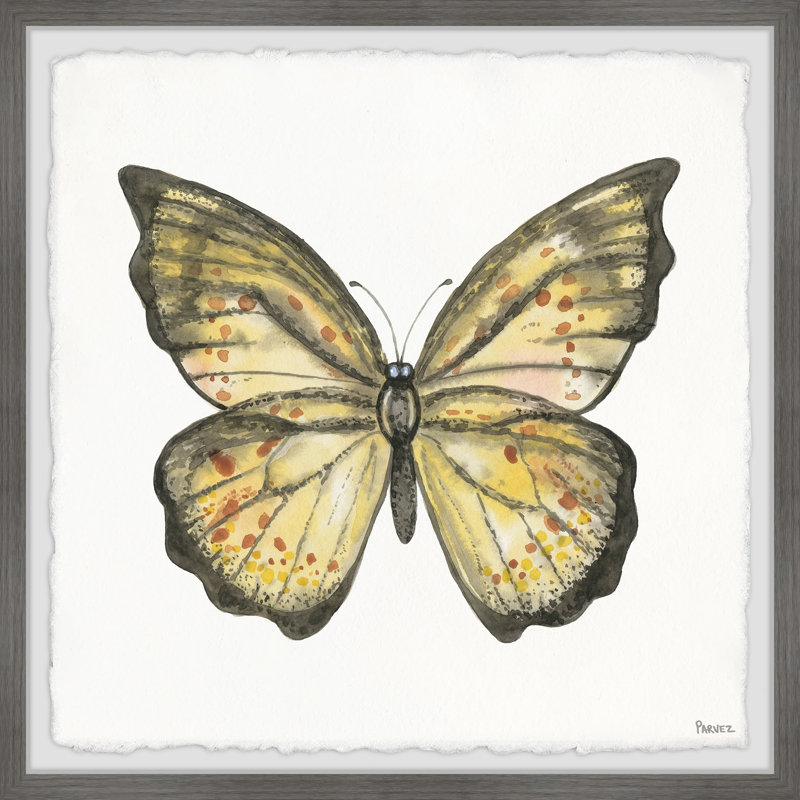 «Big Yellow Mariposa», reproduction encadrée, H 32 po x l 32 po x P 1,5 po