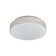 Dorethia Plastic LED Flush Mount