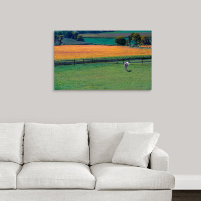 " Amish Country " by Steven Maxx