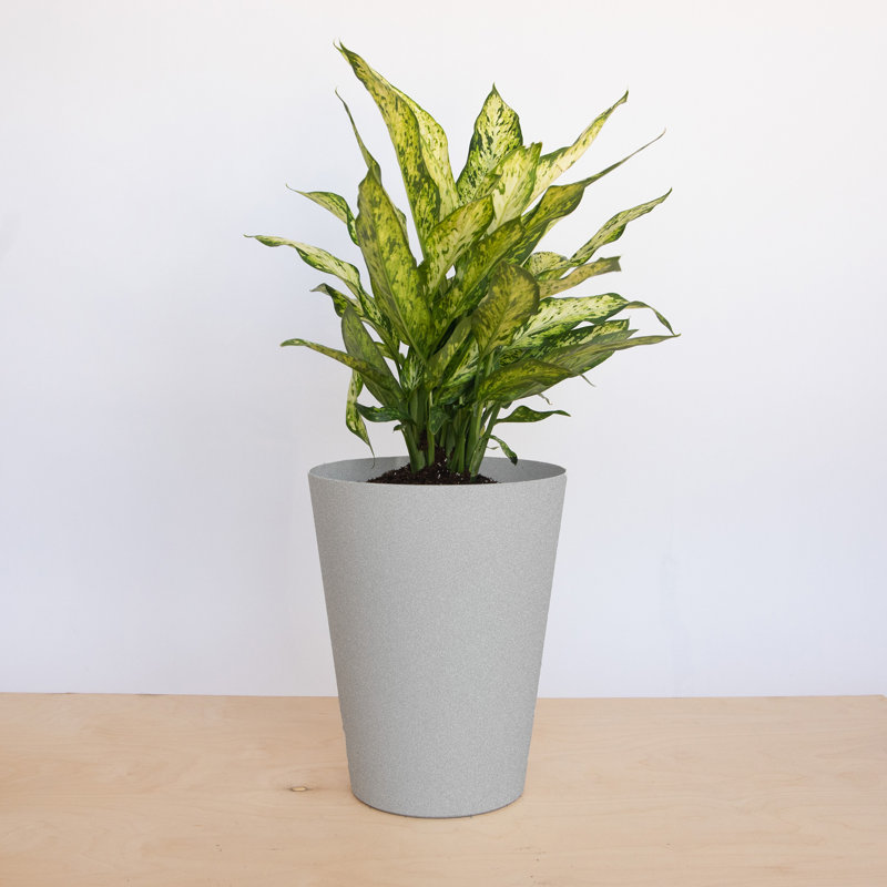 Finley Modern Recycled Plastic Indoor/Outdoor Round Vertical Planter, Gray