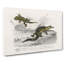 Alligator And Lizard Illustration - Wrapped Canvas Painting-55368486