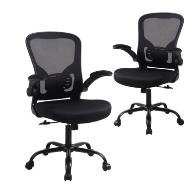 Ergonomic Home Office Mesh Task Chair Desk Chair With Flip-up Armrest by Inbox Zero