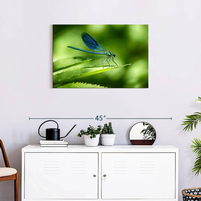 Brampt Dragonfly On A Leaf, 20" H x 30" W