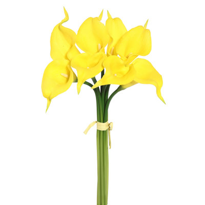 Paraiso Calla Lily Stems