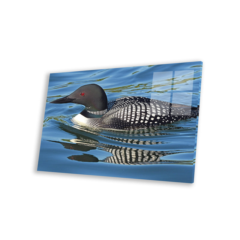 " Loon Reflections " by Brian Wolf