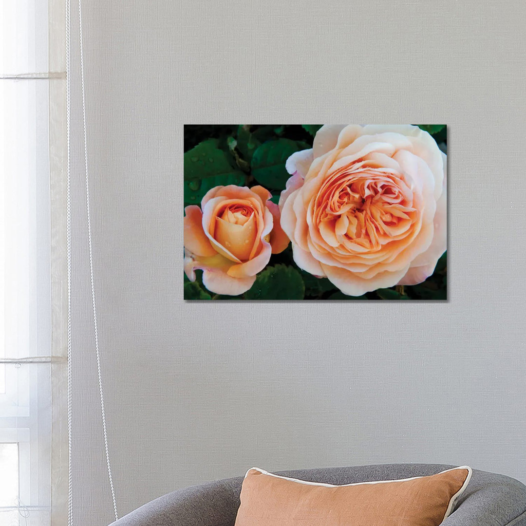 Unique by Panoramic Images - Wrapped Canvas Print
