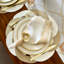 Primrose-1512829230
