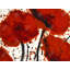 Napperons en polyester tressé - ensemble de 4 fleurs rouges abstraites