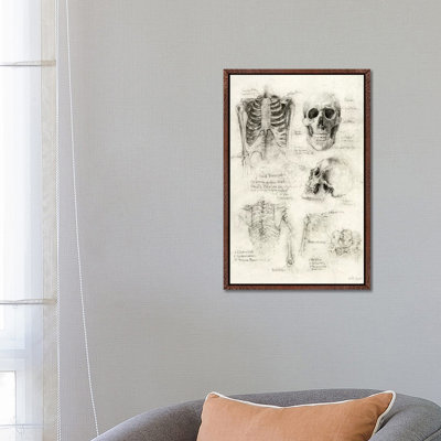 Skeleton 1 Piece Wall Art on Canvas