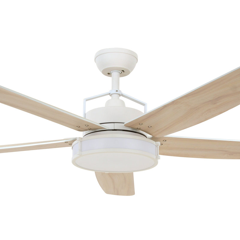 Adelpho 158cm Ceiling Fan with Light Kit