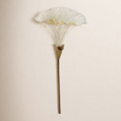Dandelion Sprays