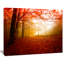 «Yellow Sun Rays in Red Forest», reproduction de photo sur toile tendue-18438070-33219968