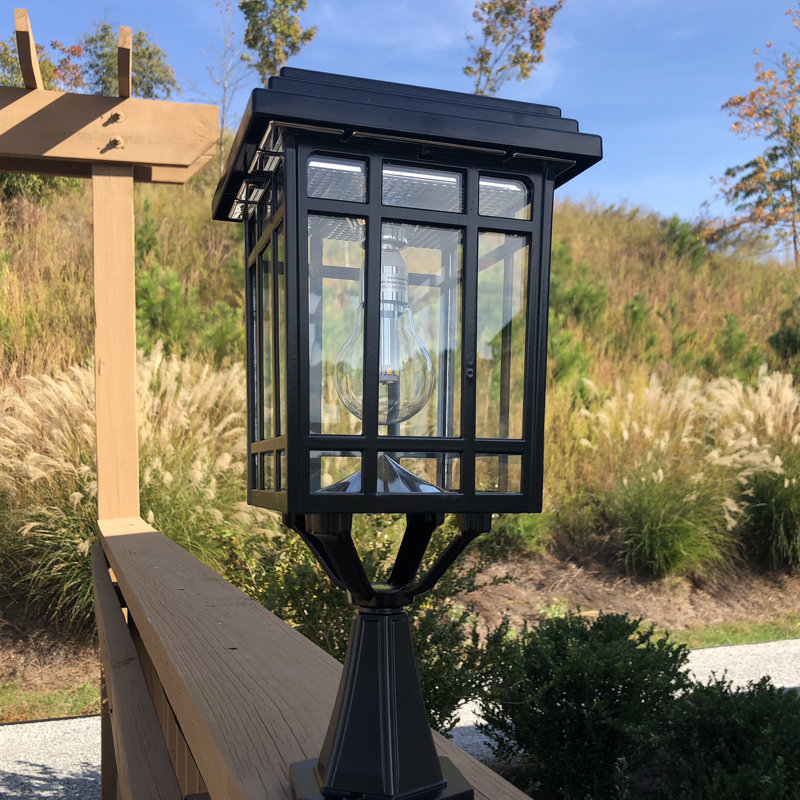 Ampoule solaire de bricolage Prairie, Noir