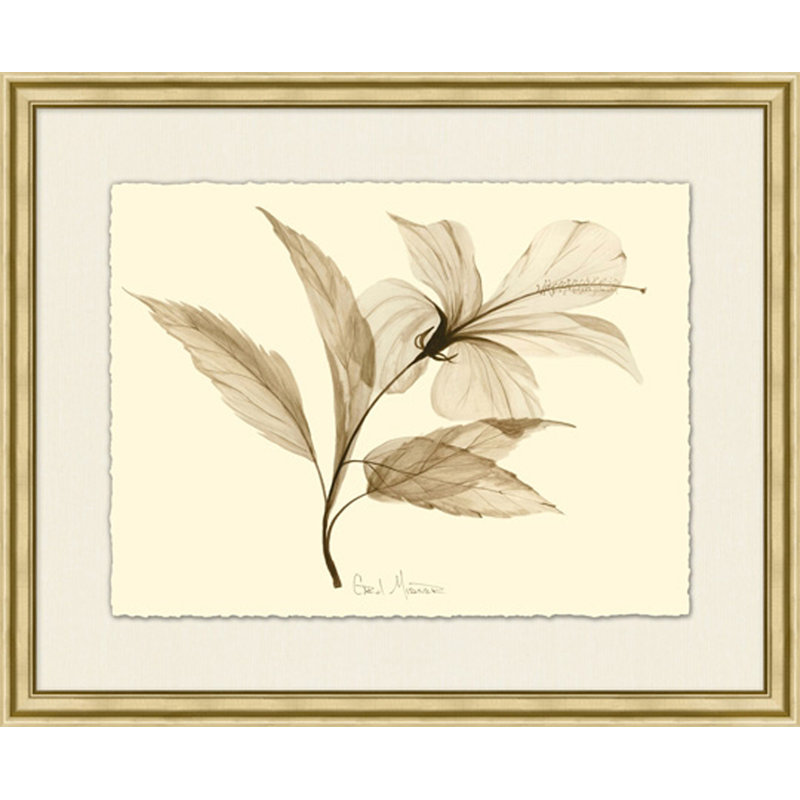 Crocus - Peinture encadrée sur papier