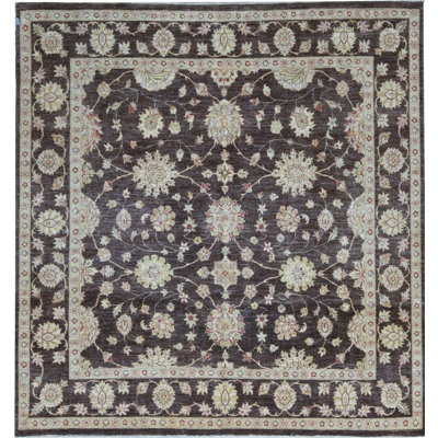 Wool Oriental Area Rug in Cream/Dark Gray