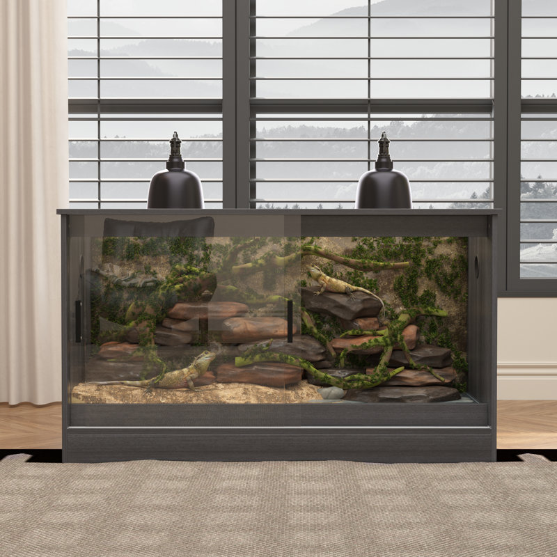 Reptile terrarium, Noir