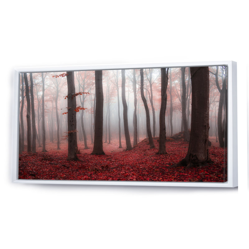 «Foggy Morning Red Forest III» - photographie sur toile, H 28 po x l 60 po x P 1,5 po, Cadre blanc