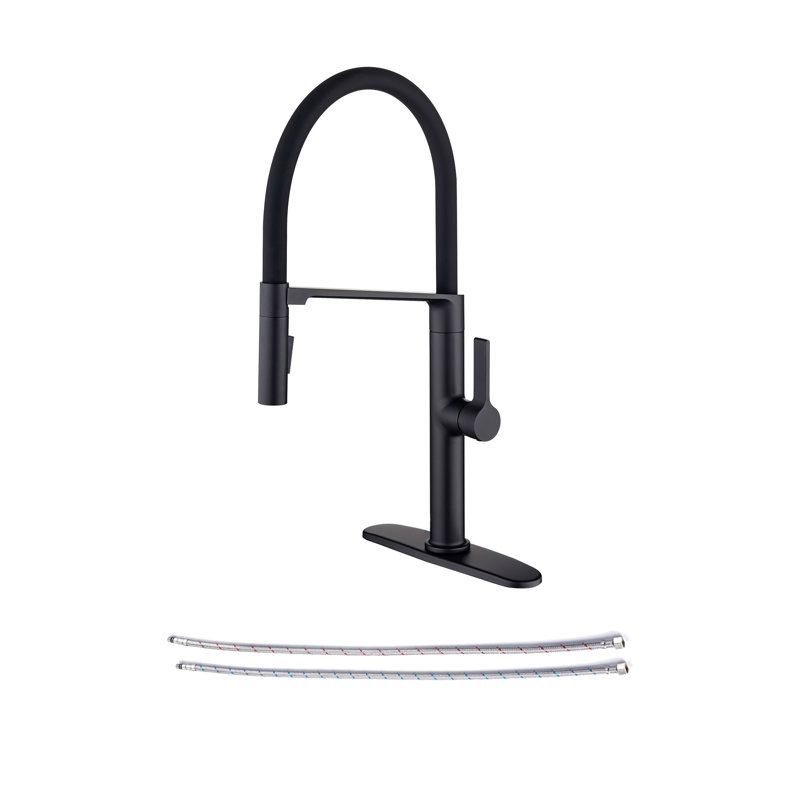 Rainlex Pull Out Kitchen Faucet, Matte Black