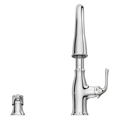Pfister Rosslyn 1-Handle Pull-Down Kitchen Faucet