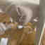 Photos des clients 2 de 2