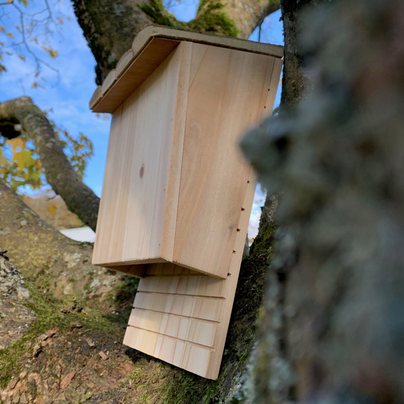 Izaguirre Mounted Bat House