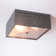 Kiser Flush Mount