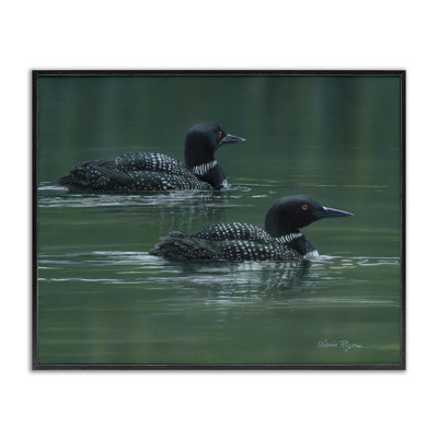 «Peaceful Loon Duo», estampe numérique par Valerie Rogers