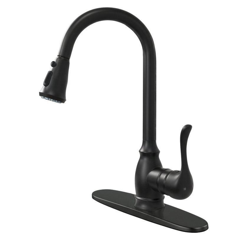 Kitchen Faucet with Pull-Down Sprayer, High Arc Single Handle, 2-Function, Matte Black