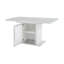 Table de salle à manger extensible 47,24 "à 63" moderne avec plateau en marbre, base d'armoire de rangement avec pieds en métal-475021493