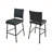 Outdoor PE Rattan Armless Barstools Set of 2-1173515158