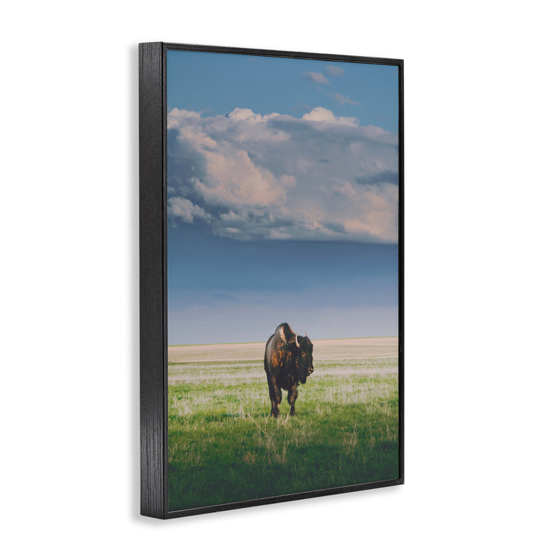 Giclée encadrée, soleil par dessus un bison solitaire, conception par Annie Bailey Art, H 18 po x l 12 po