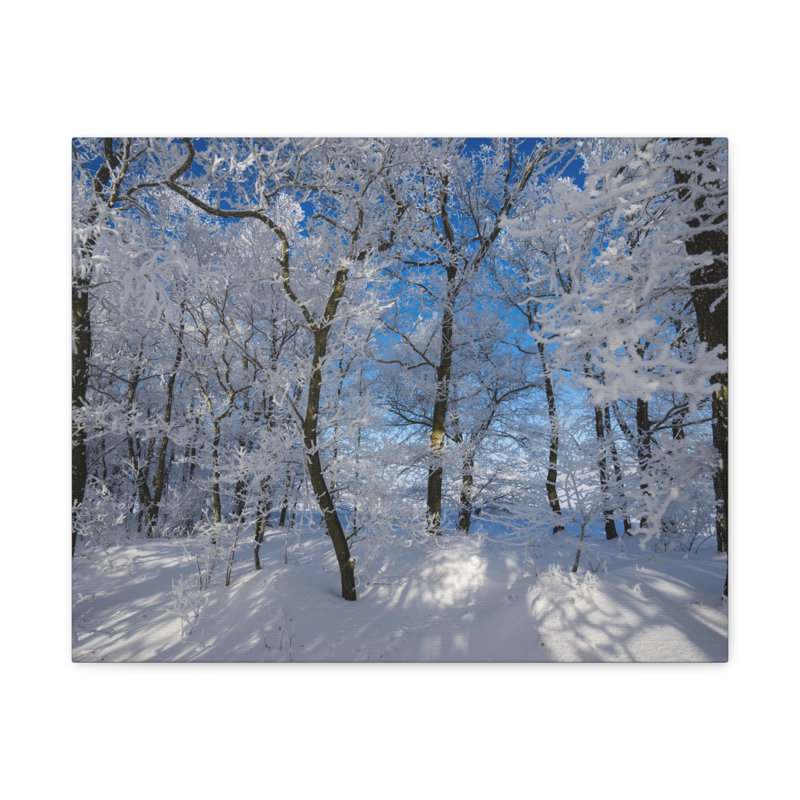 No Frame Print on Canvas, 20cm H x 20cm W