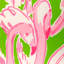 Lilly Pulitzer Pink Colony Wallpaper-1558161445