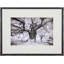 Tree Study II Print by Stawiorz