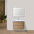 Azden 23.6'' Single Bathroom Vanity with Acrylic Top-1689854687