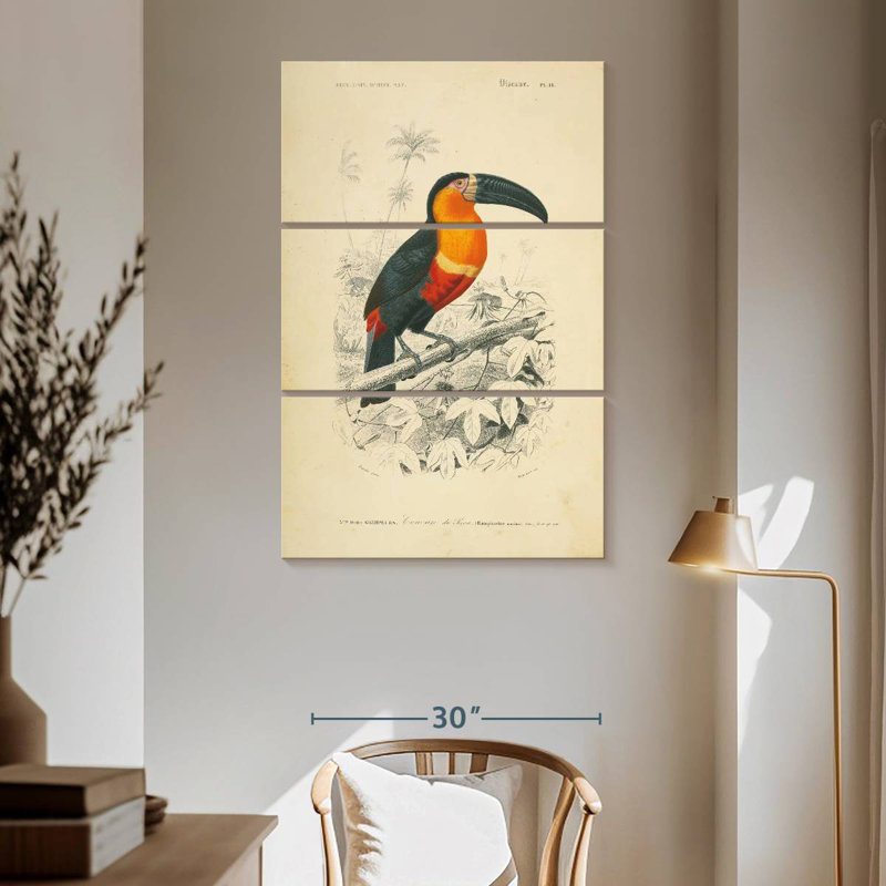 Brampt Toucan Du Para, 65" H x 42" W