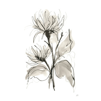 Chrysanthème II