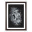Fierce Lioness - Framed Print-56841707-56841709