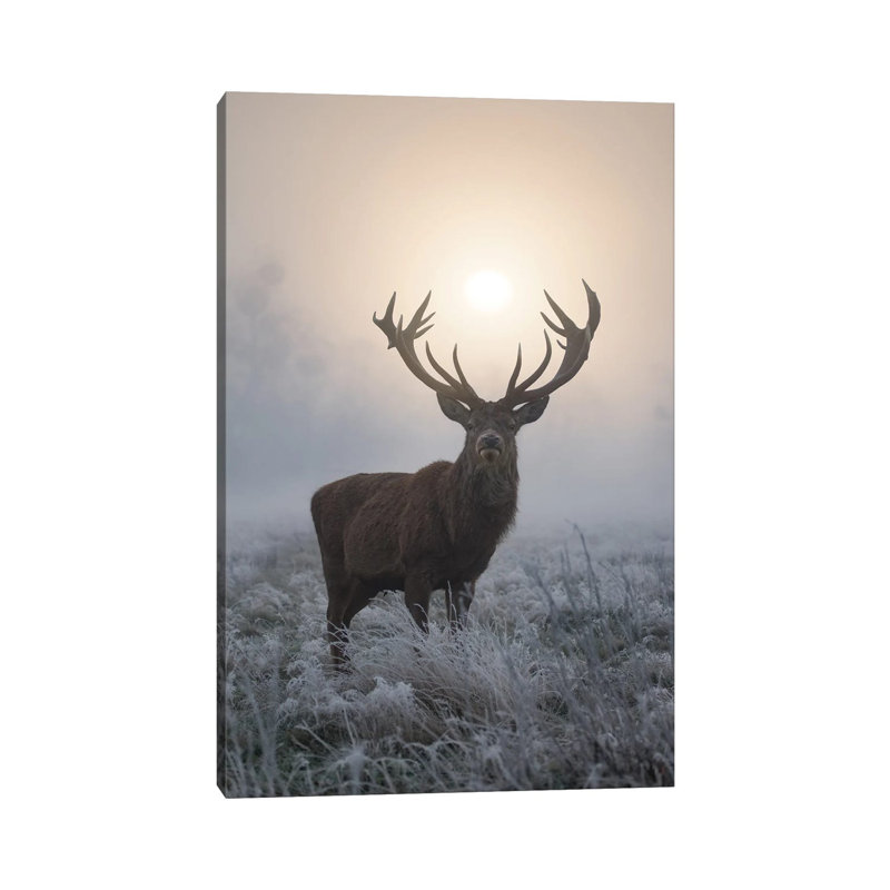Frosty Glow by Max Ellis - Wrapped Canvas Print, 66.04 cm H x 45.72 cm W