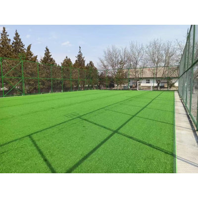 3ft×16ft Outdoor Artificial Grass Runner Rug, Thick Realistic Fake Grass Roll Decor Patio Balcony Garden Lawn, Dog Pets Turf Drain Mat, 0.78" Pile Height